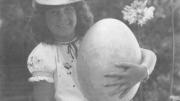 Aepyornis Maximus fossilised egg: The Madagascan Elephant Bird stood over 3m tall. This egg washed up on the WA coast, 7,000 km from its native home. 